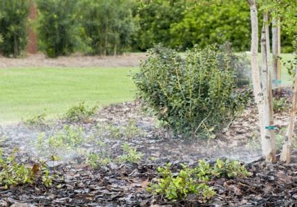 Residential lawn sprinkler watering grass