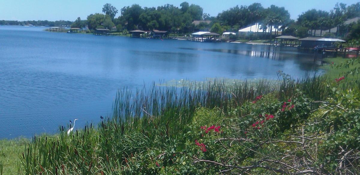 About Us Belle Isle, FL